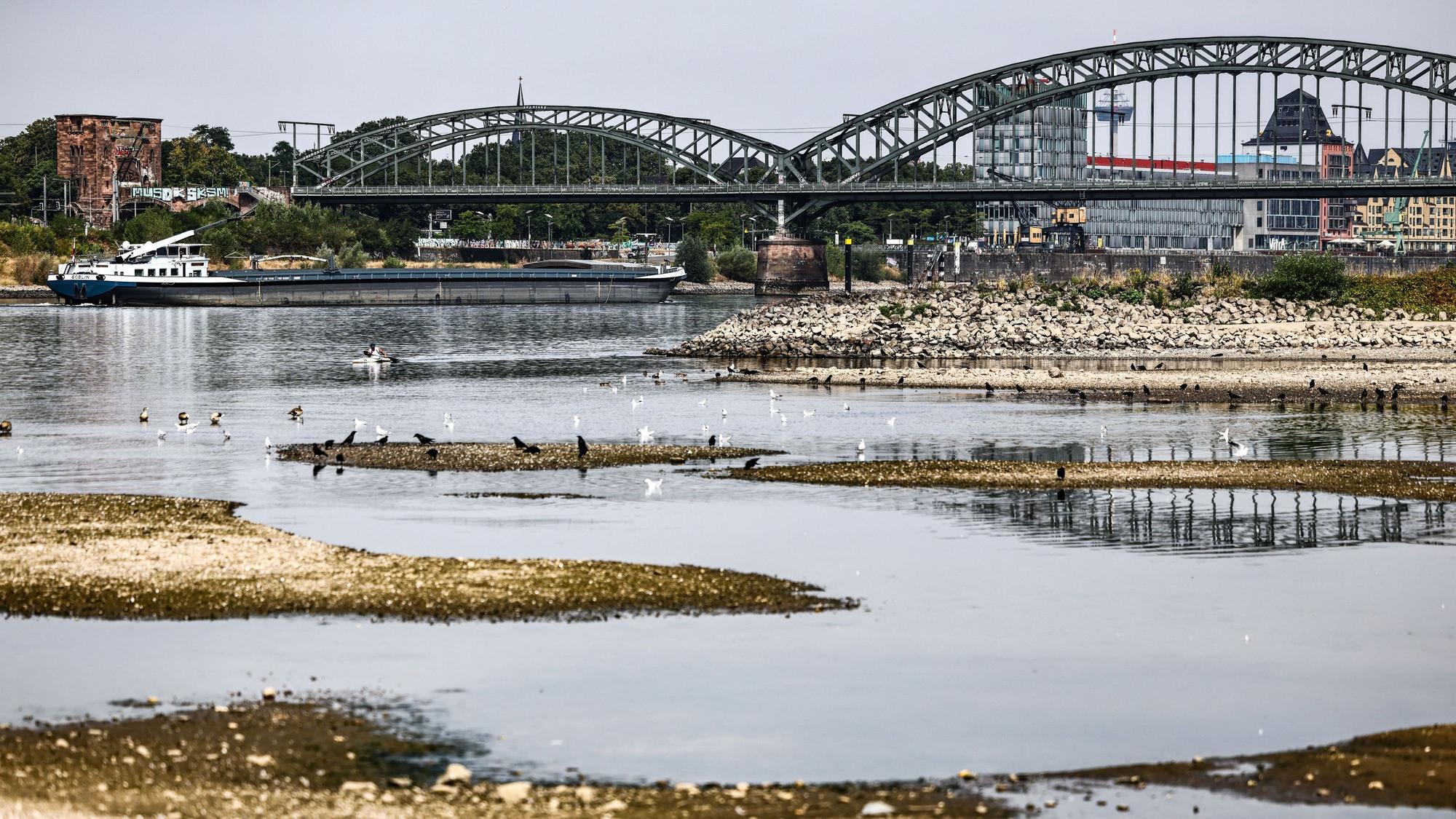 Ein Binnenschiff fährt bei niedrigem Pegelstand unter der Südbrücke über den Rhein. (Archivbild)