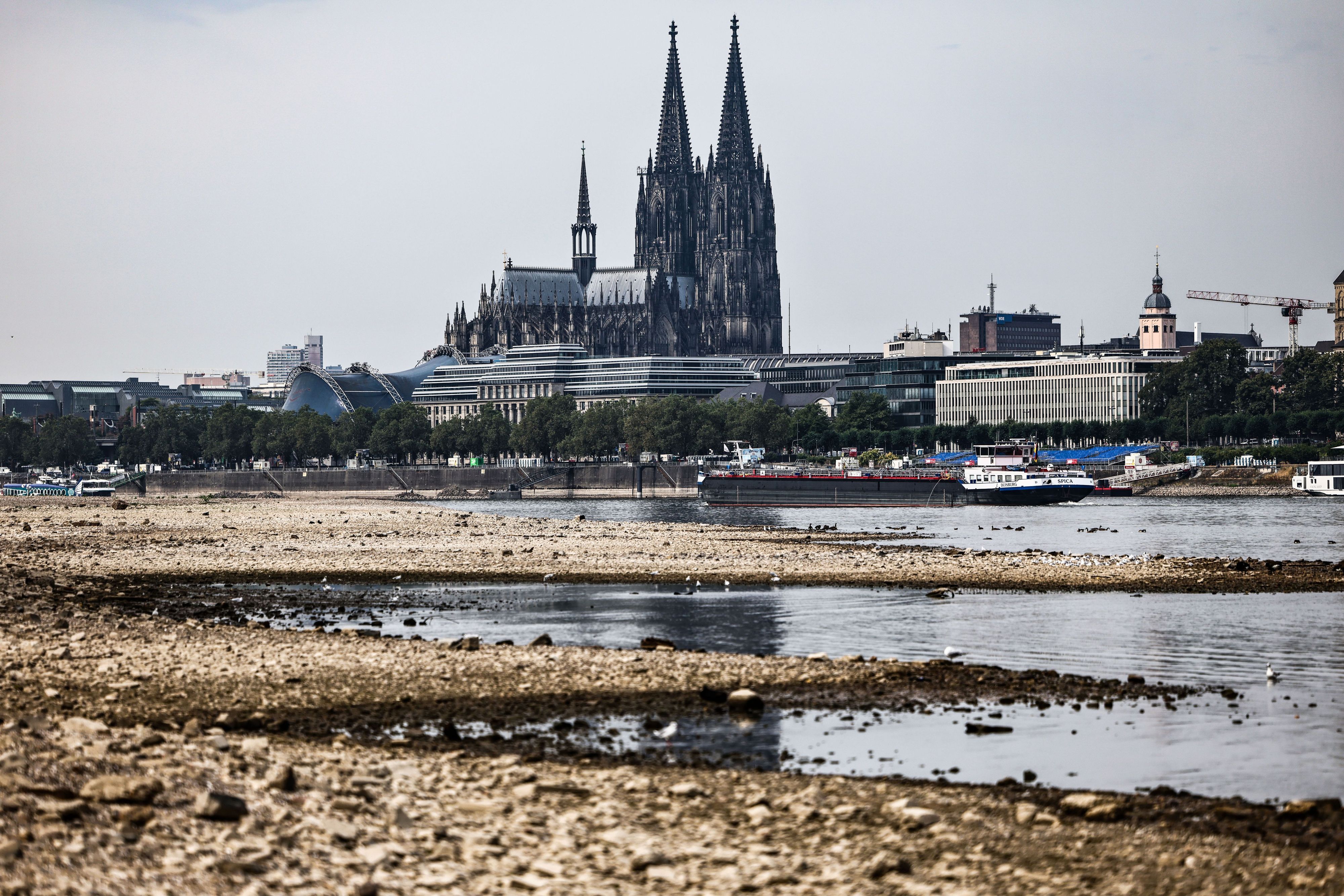 Ein Binnenschiff fährt bei niedrigem Pegelstand am Dom vorbei über den Rhein. In Köln hat der Rhein seinen historischen Tiefstand am Donnerstag wieder erreicht. (Archivbild)