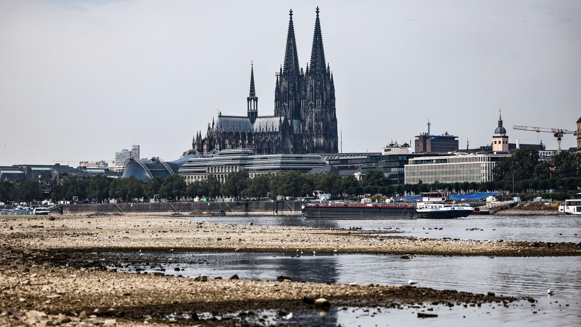 Ein Binnenschiff fährt bei niedrigem Pegelstand am Dom vorbei über den Rhein. In Köln hat der Rhein seinen historischen Tiefstand am Donnerstag wieder erreicht. (Archivbild)