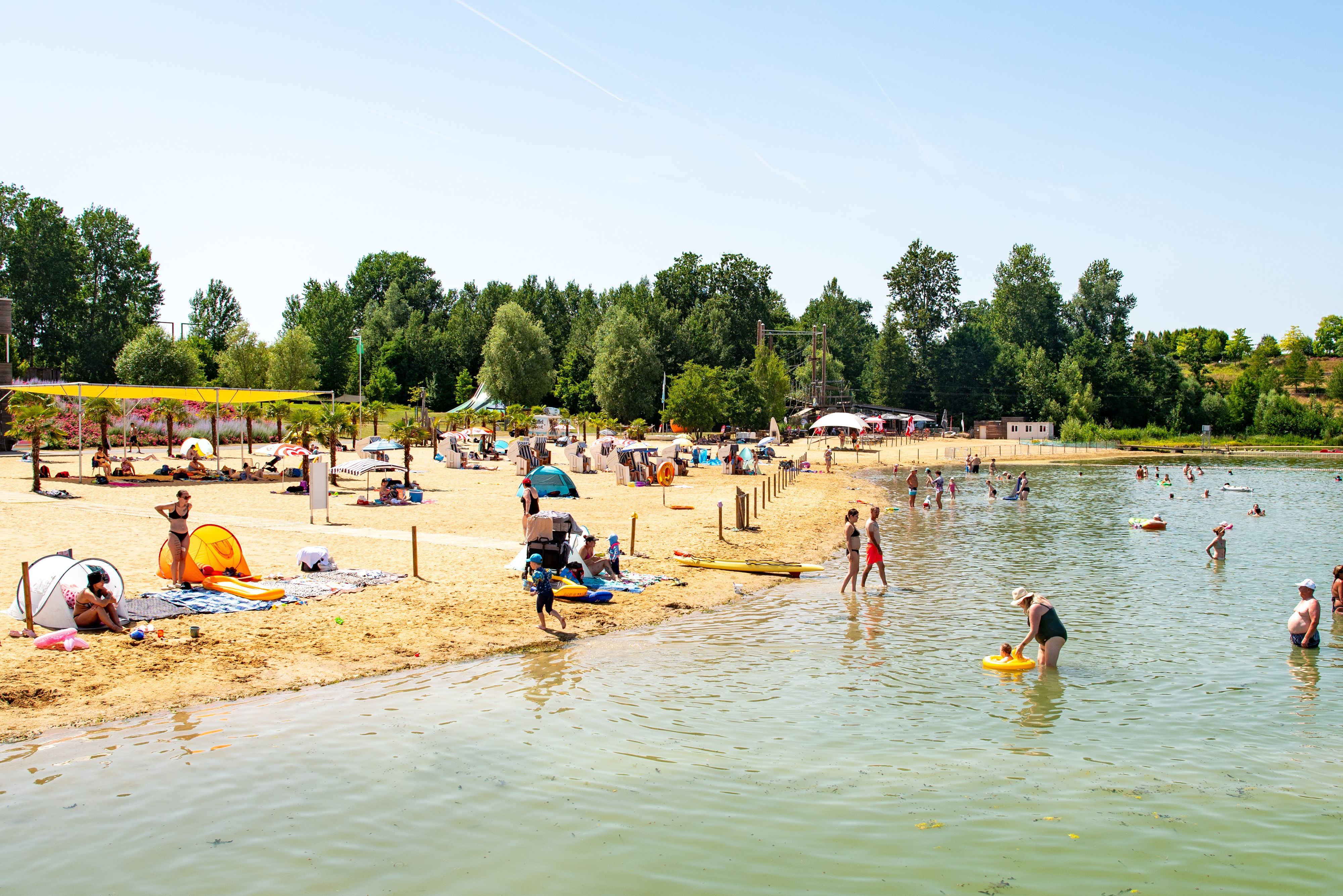 Menschen liegen am Strand und baden im Zülpicher See.