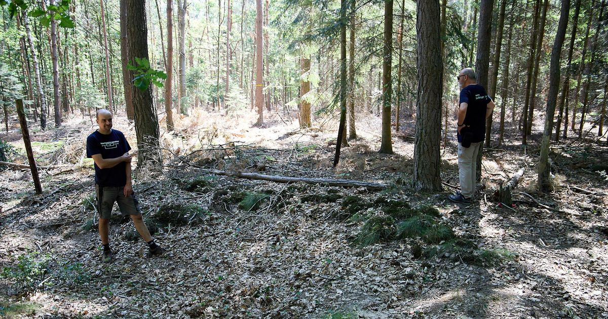 Clue found: A metal plate gives the pilot who crashed near Burgfey a name