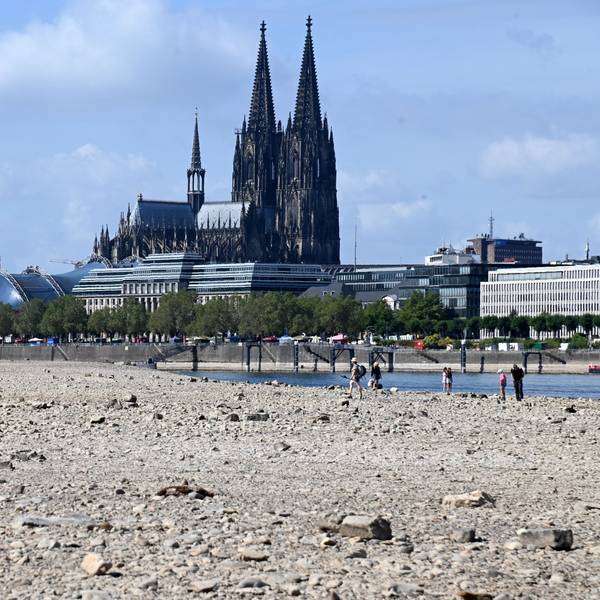 Viel Land, wenig Wasser: Der Rhein ist in Köln am Freitag erneut auf einen historischen Tiefstand gefallen. (Archivbild)