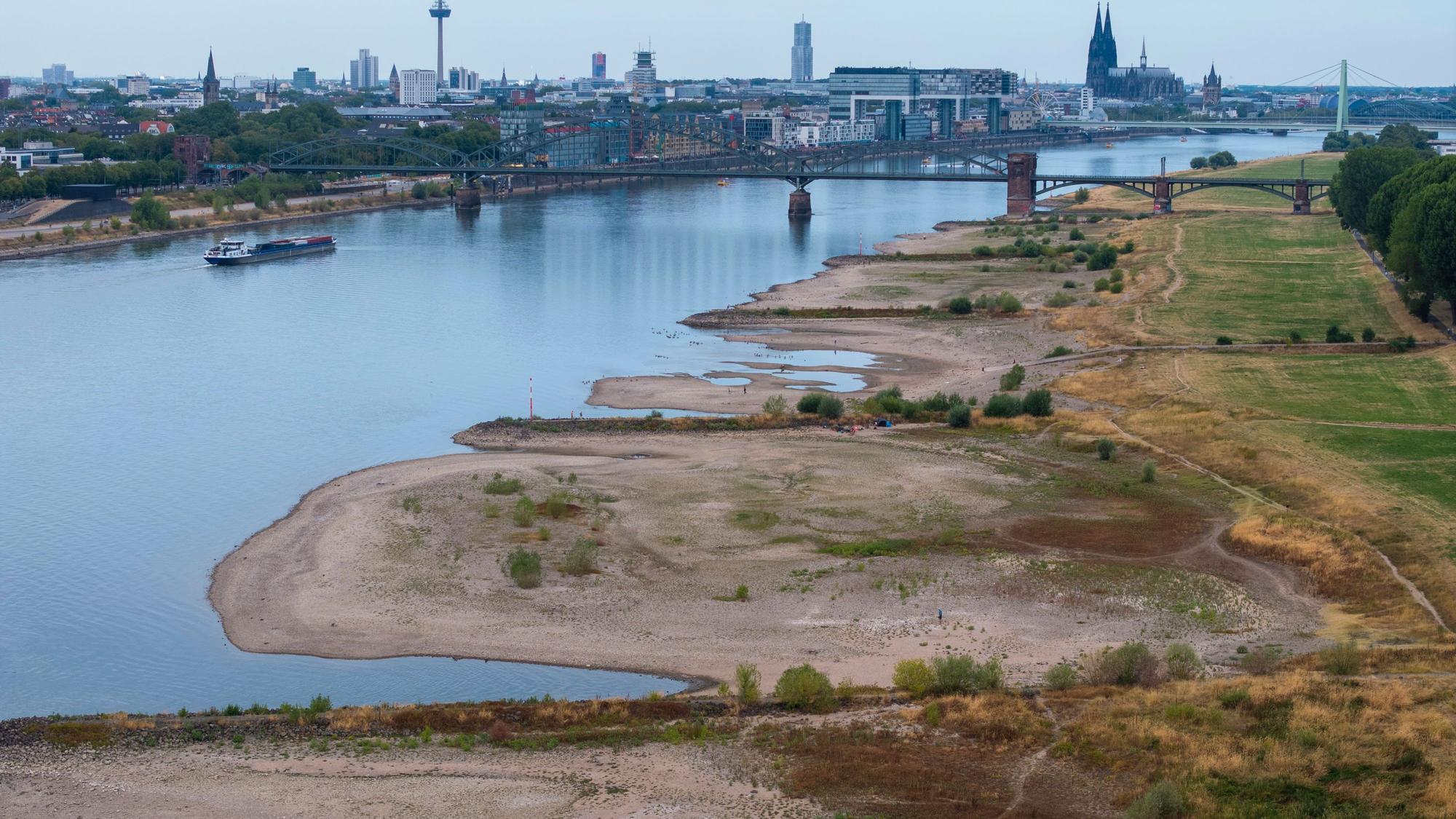 Zu sehen sind infolge des Niedrigwassers Kiesbänke an den Pollerwiesen in Köln.