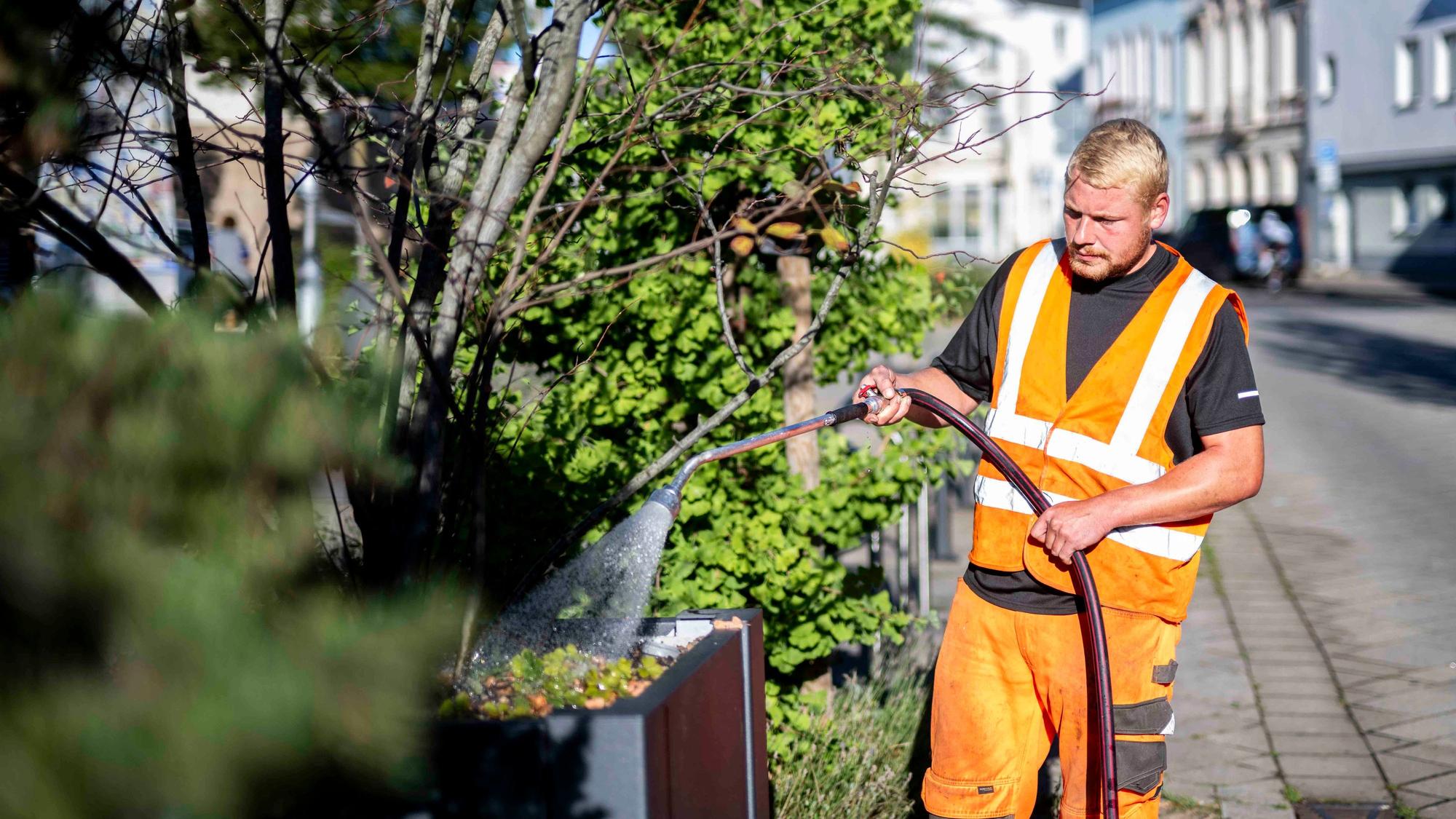 Ein Mann in orange-farbener Kleidung wässert mit einem Schlauch Pflanzen an einem Straßenrand.