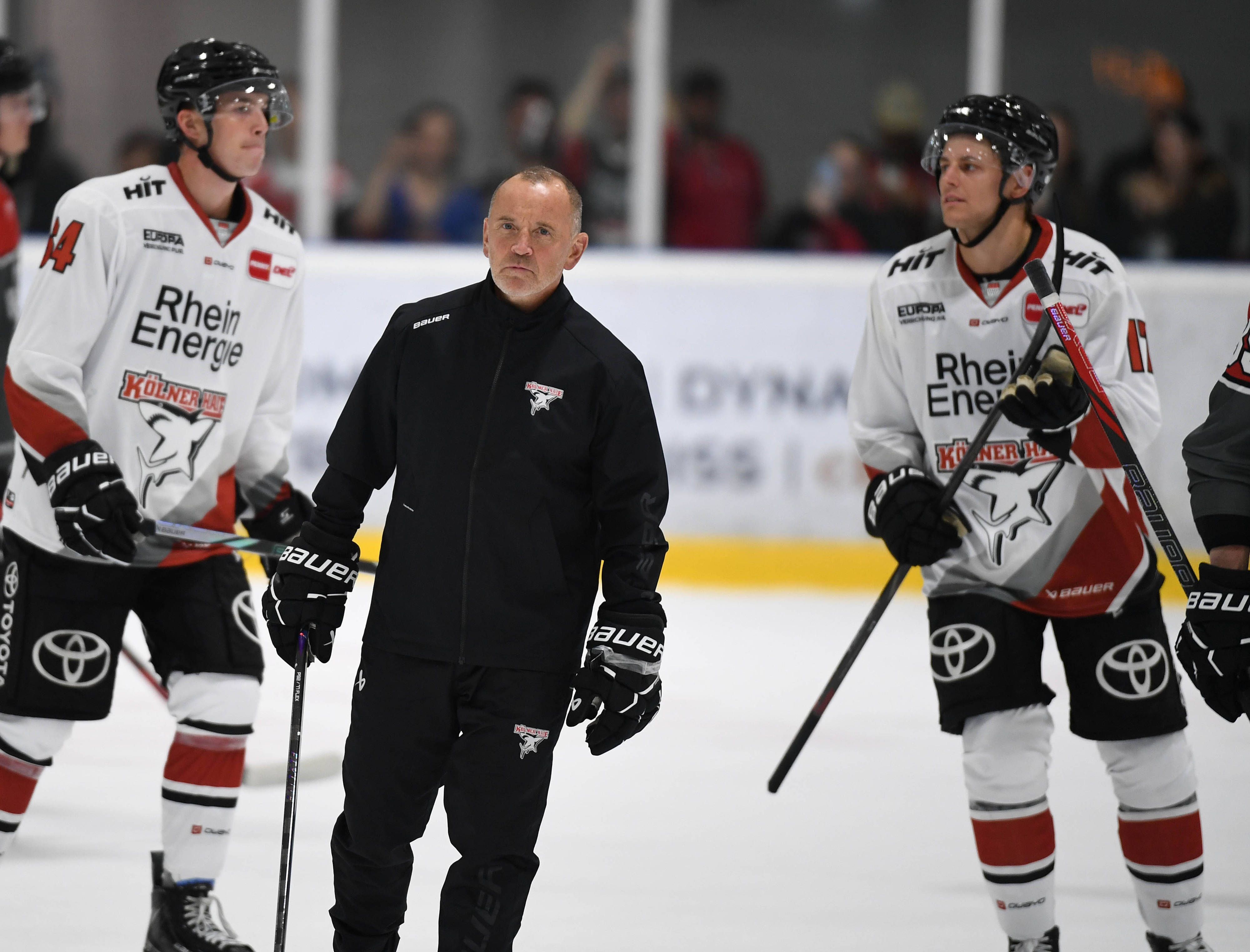 Haie-Trainer Thomas Berglund im Training mit Jan Luca Sennhenn (r.) und Noah Münzenberger (l.).