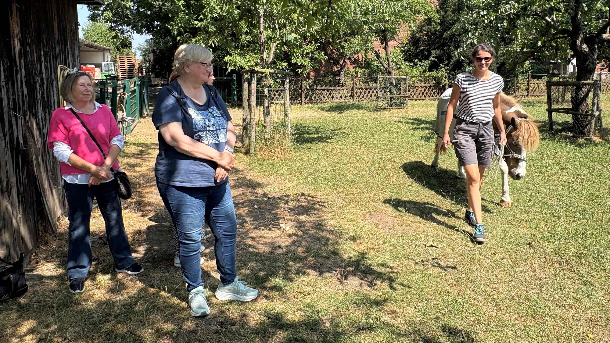 Eine Frau führt ein Pony auf die Weide, zwei andere schauen zu.