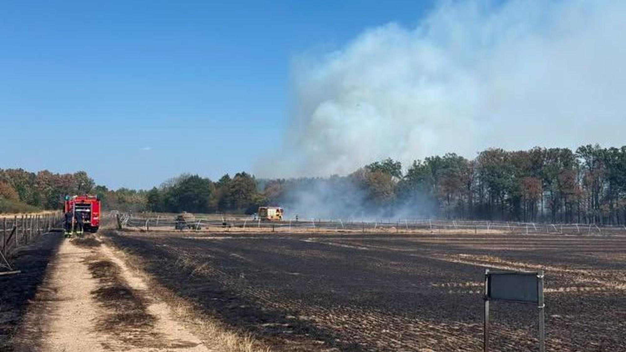 In Swisttal war am Montag (10. August) ein Brand auf einem Feld ausgebrochen. Die Flammen griffen auf den Wald über.