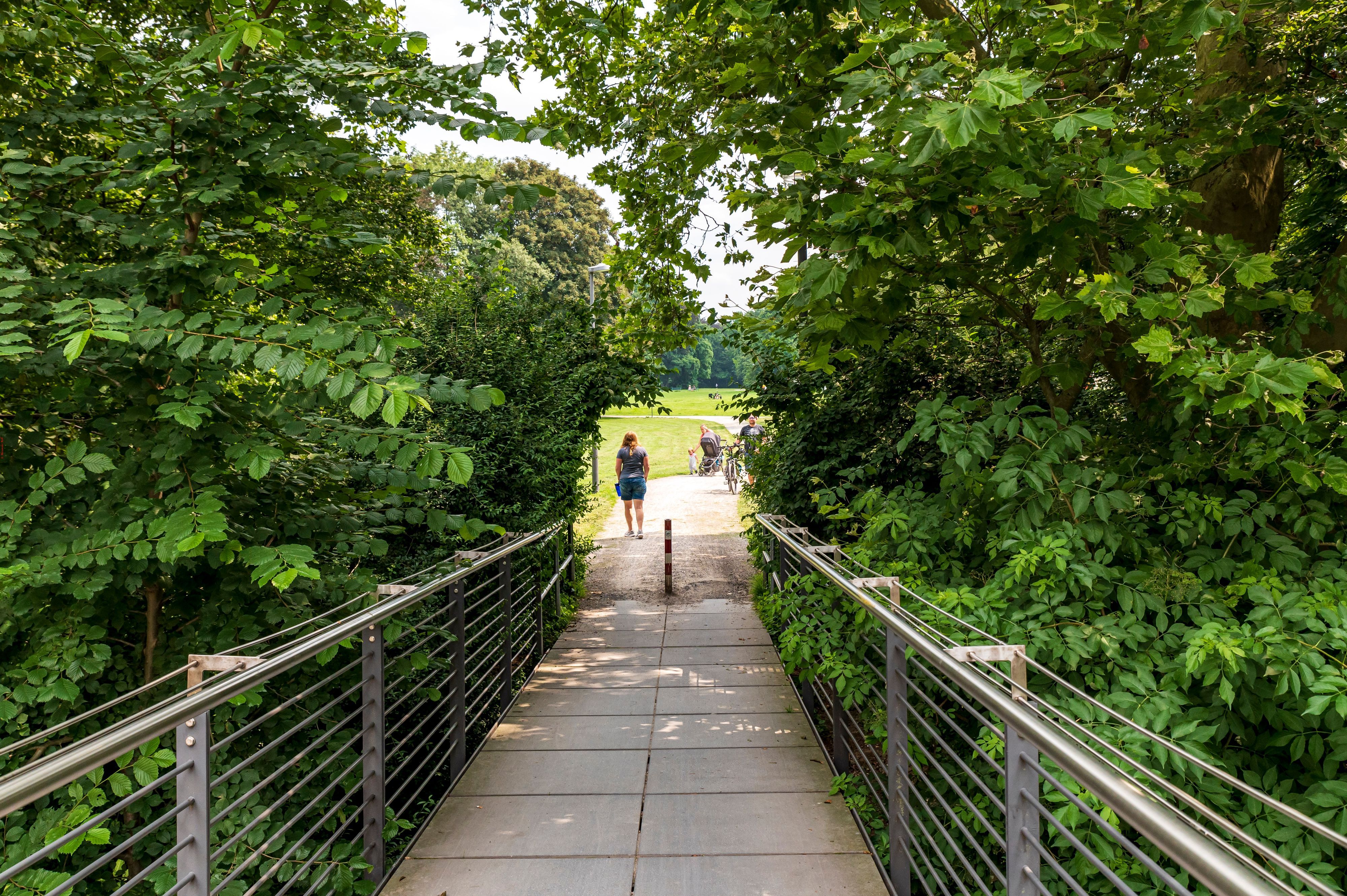 Im Kölner Nordpark verwandelt die Stadt gerade Trampelpfade in offizielle Wege.