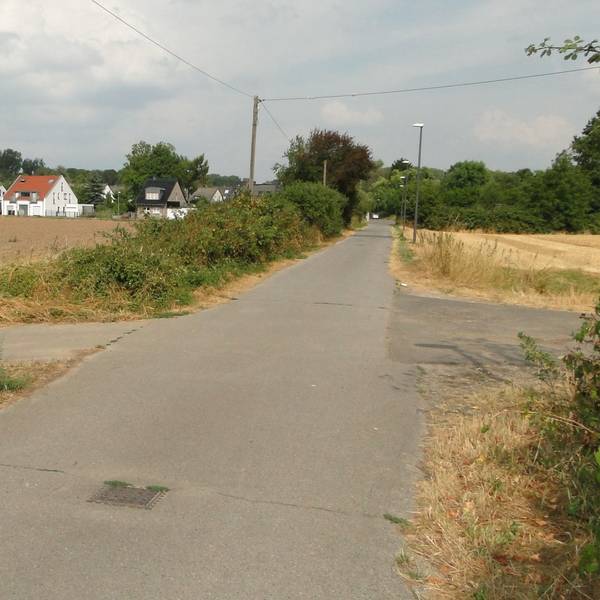 Eindrücke des Plangebiets Brombeergasse vor der Bebauung.