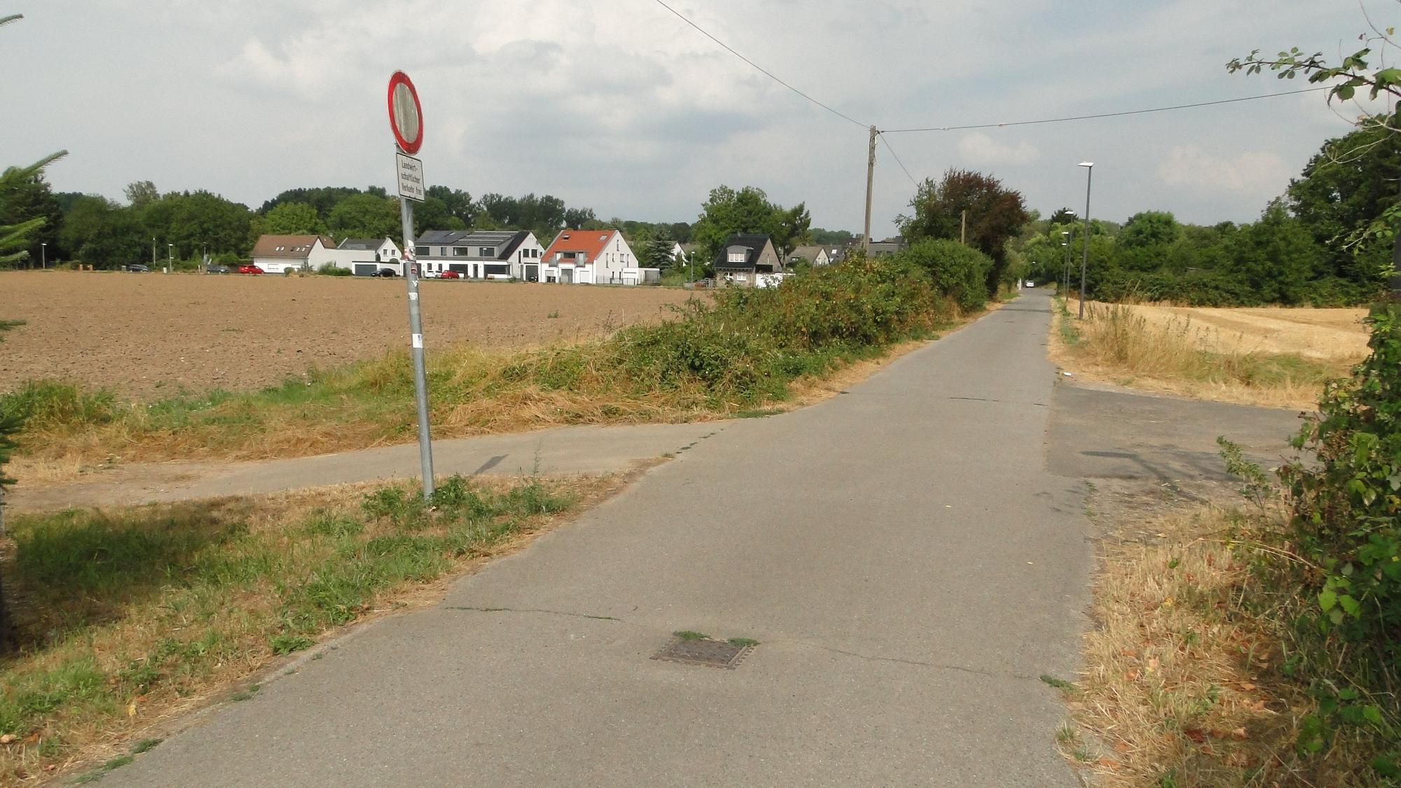 Eindrücke des Plangebiets Brombeergasse vor der Bebauung.