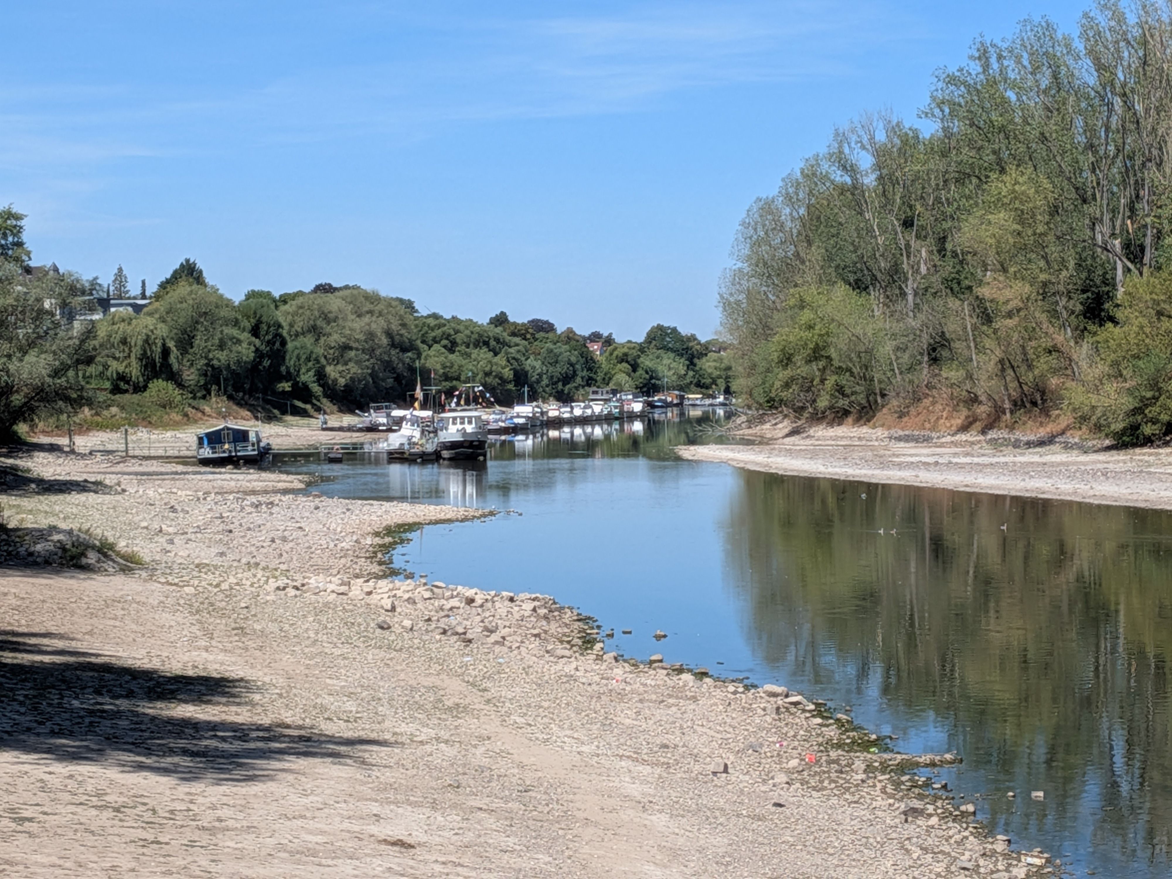 Niedrigwasser am Herseler Rheinufer