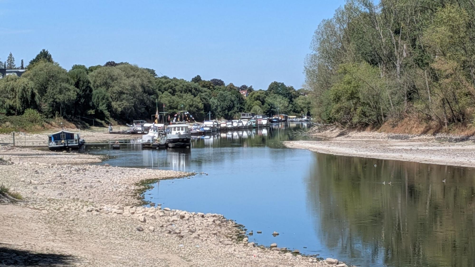 Niedrigwasser am Herseler Rheinufer