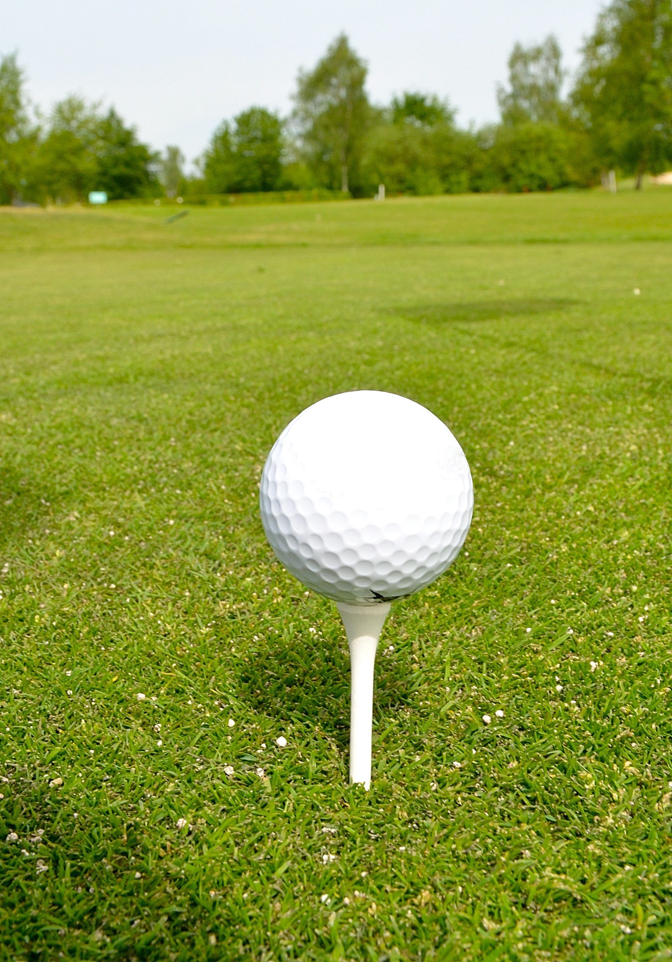 Das Bild zeigt einen Golfball auf einem  sogenannten Tee.