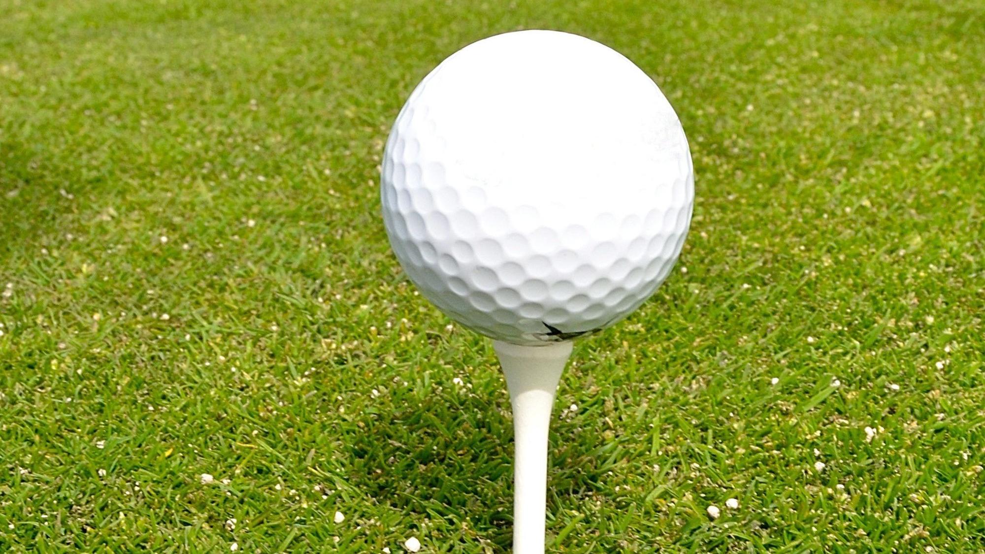 Das Bild zeigt einen Golfball auf einem sogenannten Tee.