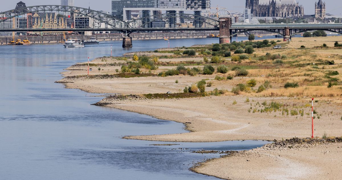 „Man kann es kaum glauben“: Negativrekord jagt Negativrekord – und der ...