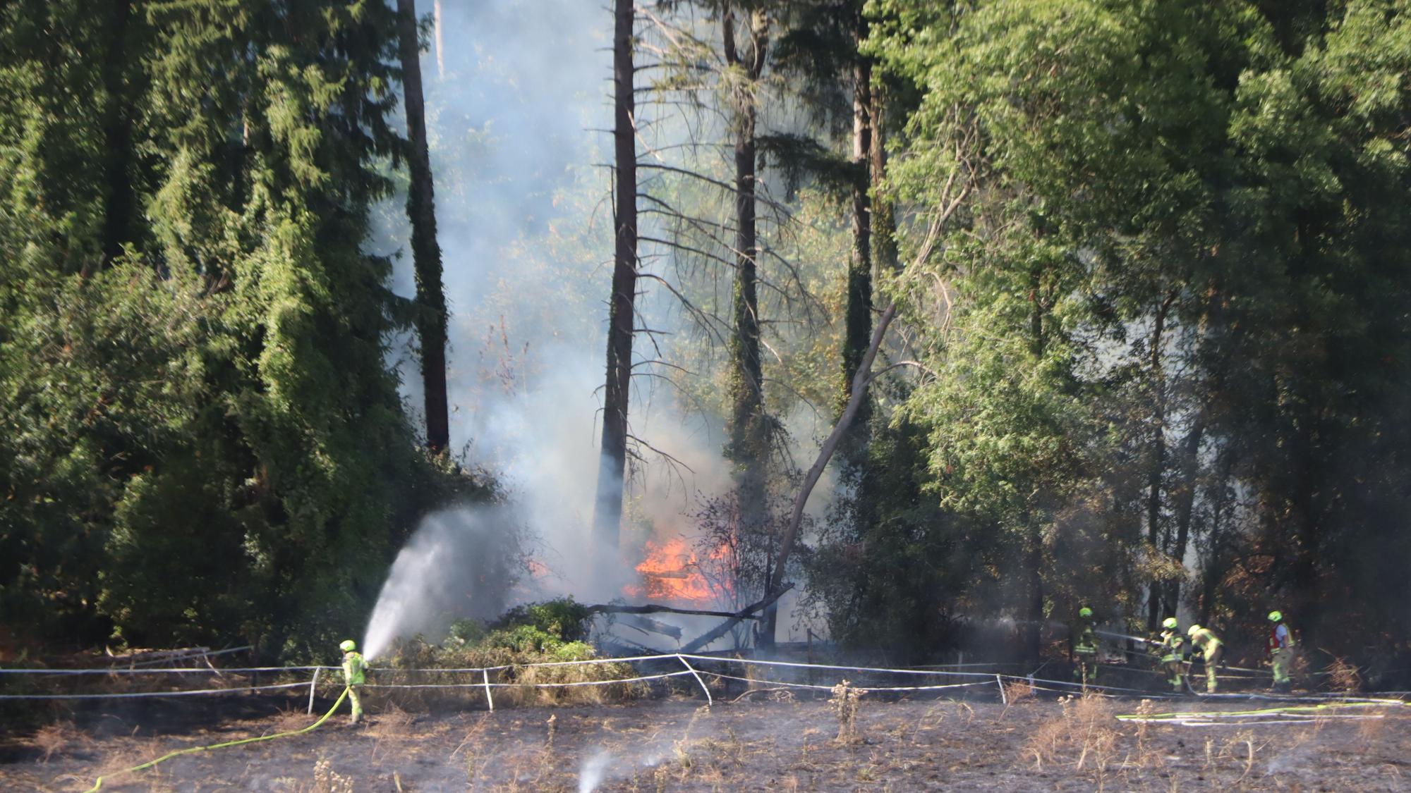 Feuer im Wald des Kitzburger Waldes. Auch an den Nadelbäumen züngelten die Flammen empor.