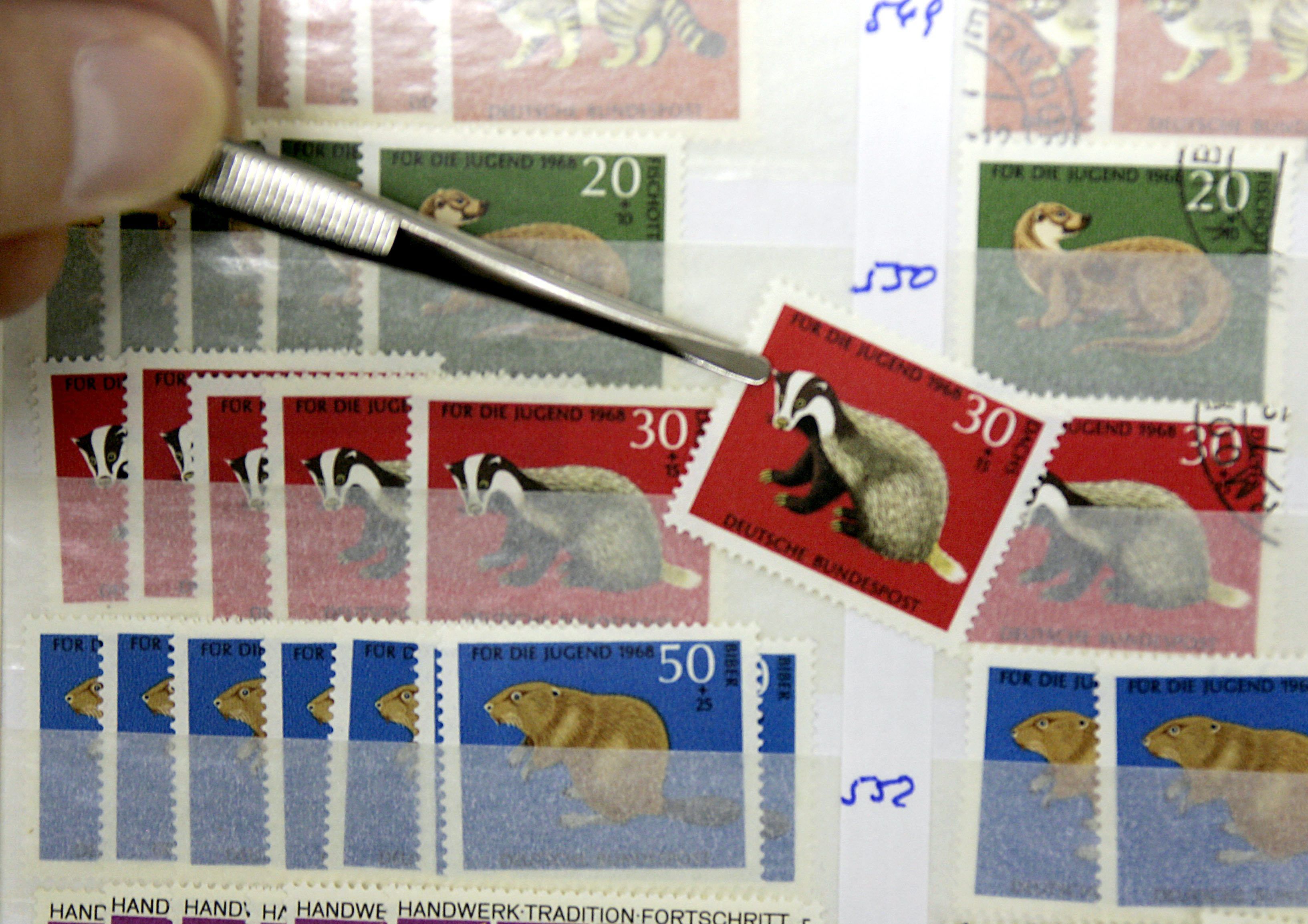 Briefmarken sortiert ein Händler auf der Briefmarkenmesse in Essen in ein Briefmarkenalbum.