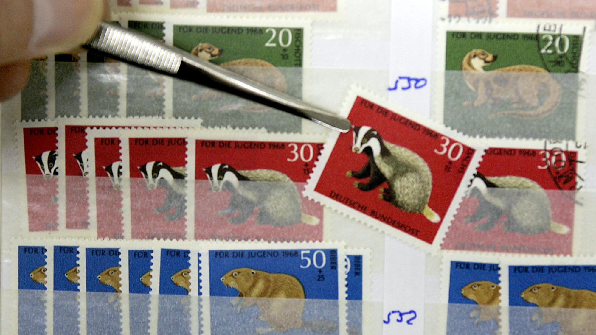 Briefmarken sortiert ein Händler auf der Briefmarkenmesse in Essen in ein Briefmarkenalbum.