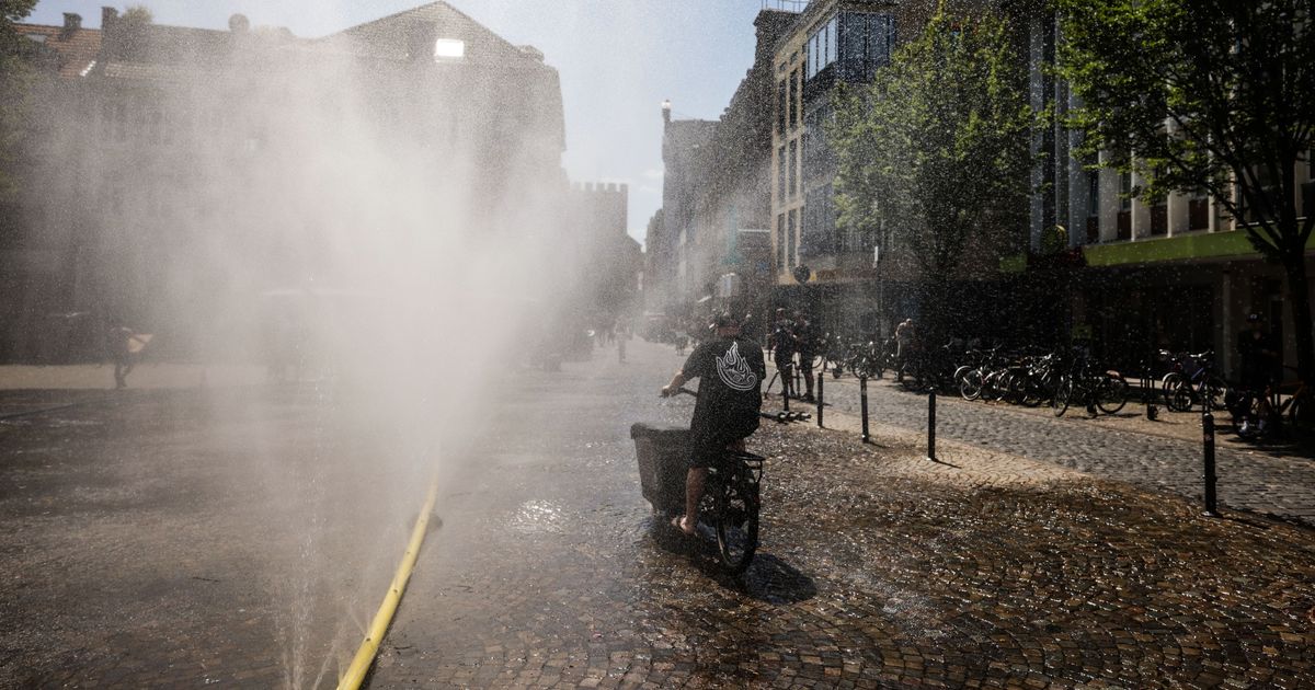 Brandgefahr in Köln: DWD warnt vor Hitze am Freitag – dann soll Regen ...