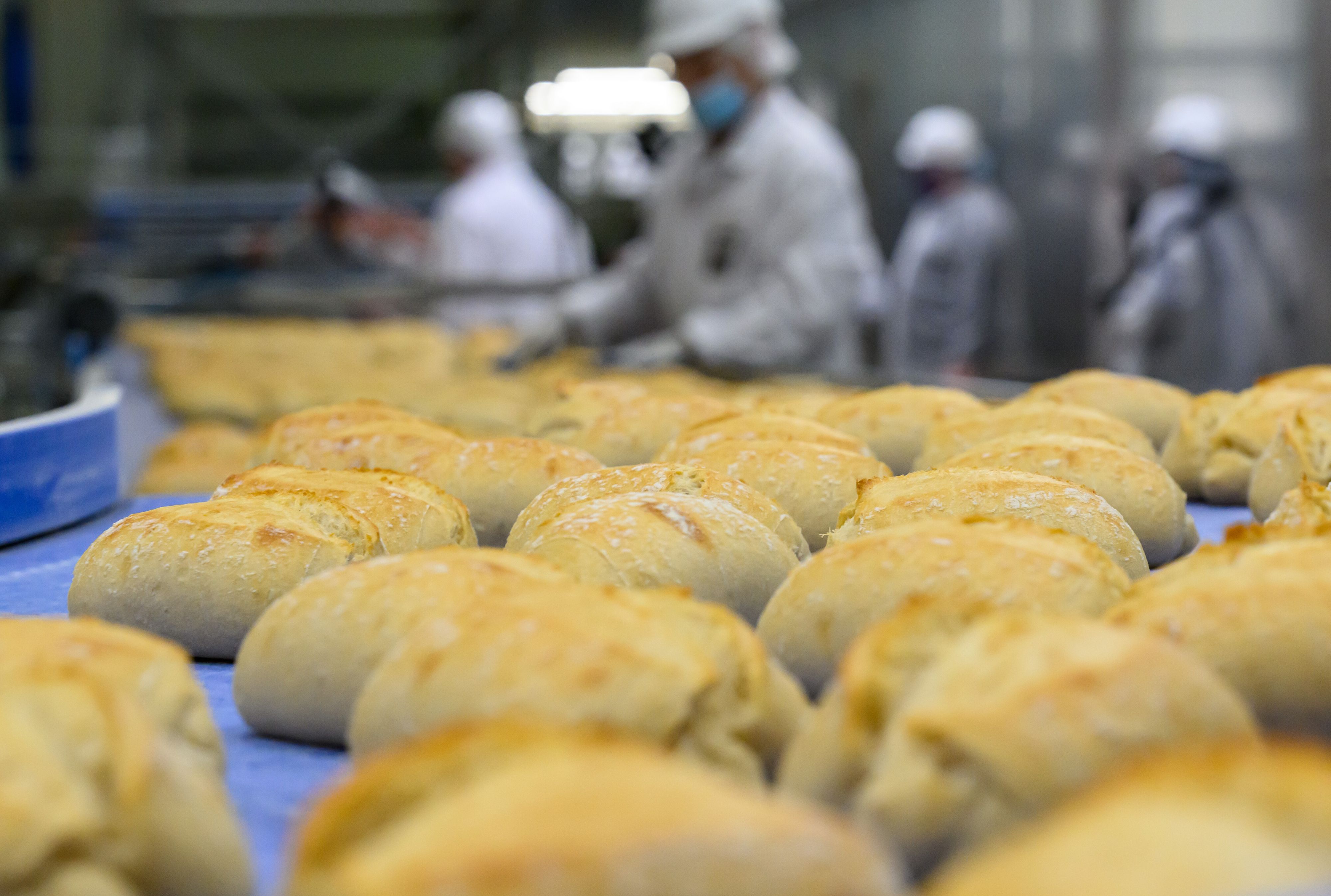 Das Bild zeigt die Produktion von Brötchen in einer Großbäckerei.