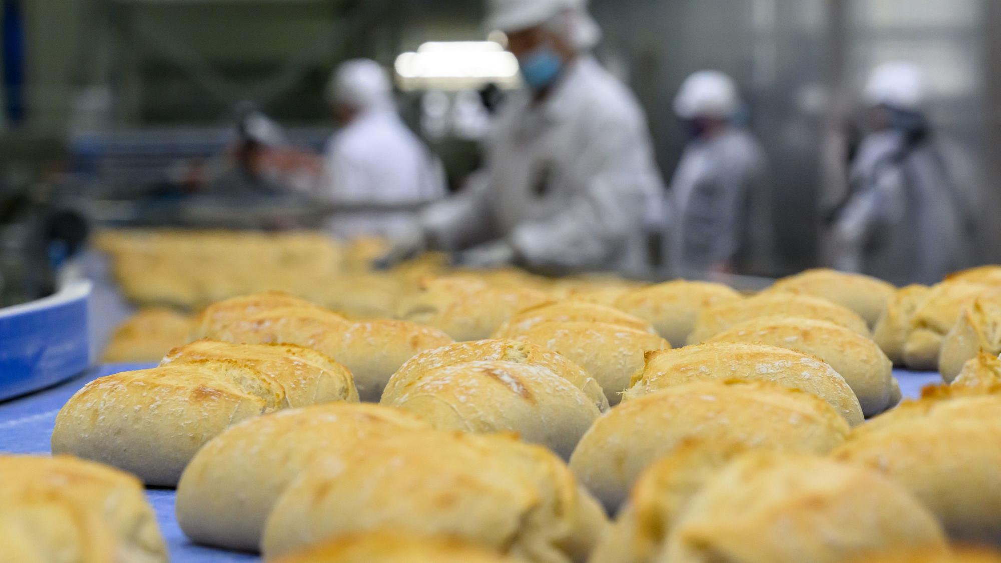 Das Bild zeigt Brötchen in einer Fertigungsstraße