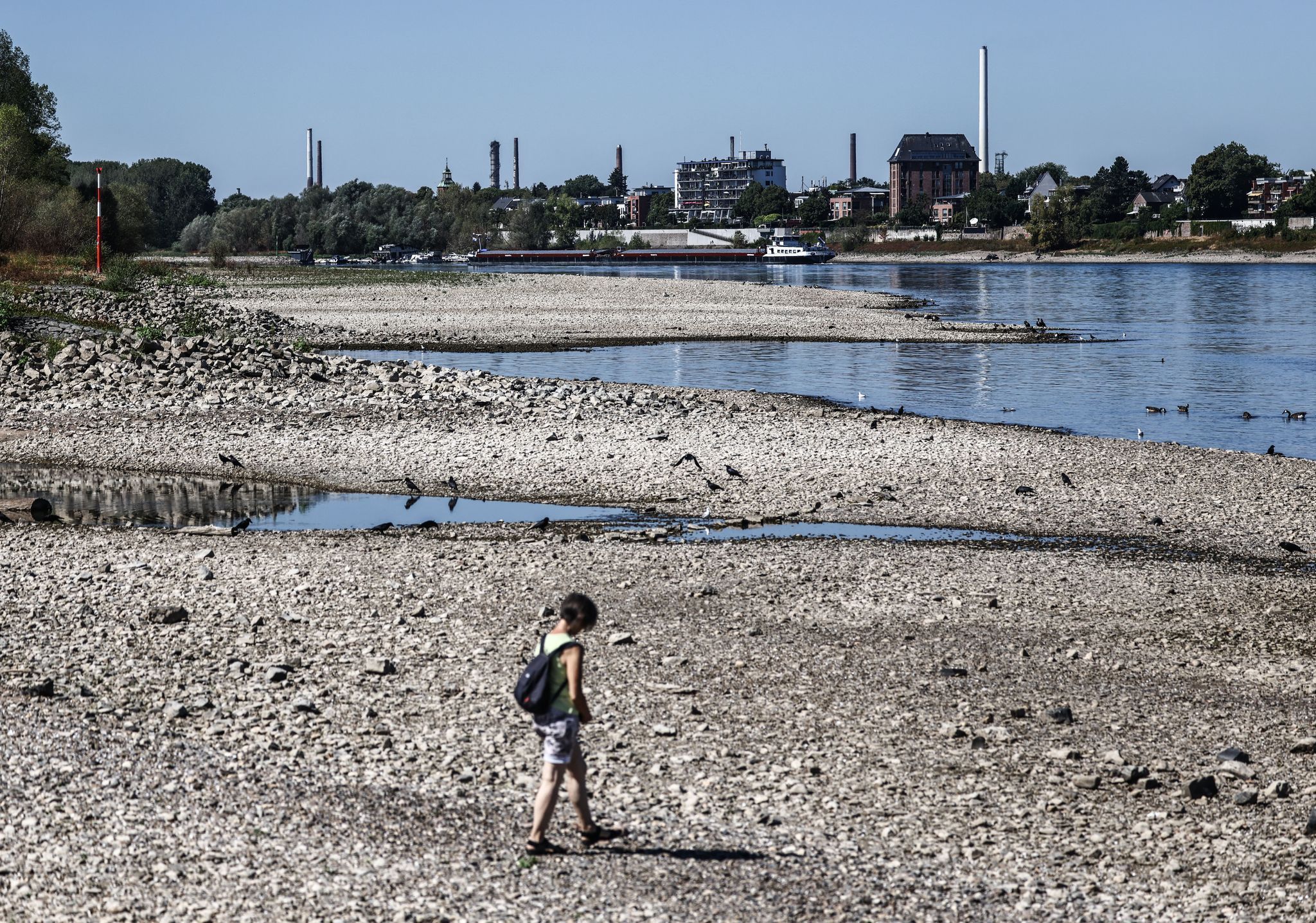 Niedrigwasser am Rhein