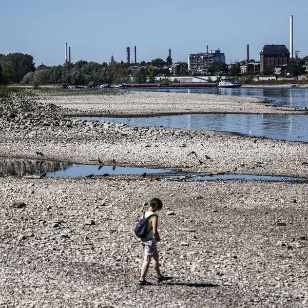 Niedrigwasser am Rhein