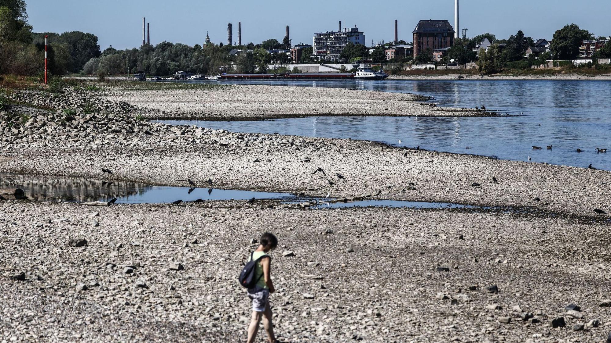 Niedrigwasser am Rhein