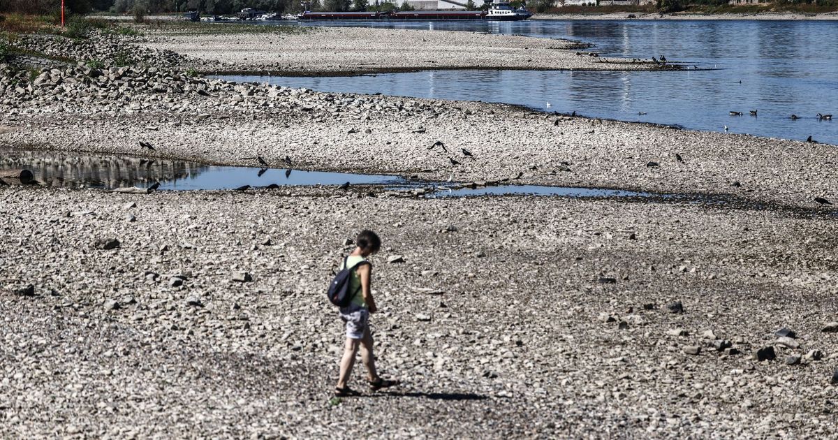 Important waterway: Hardly any ships on the Rhine – | Water level at ...