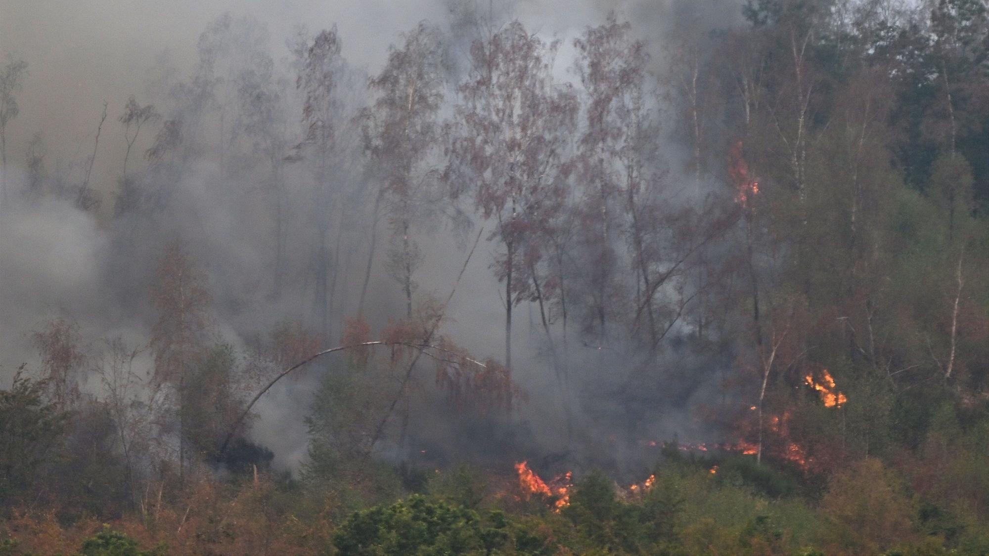 Flammen lodern bei einem Waldbrand im Hürtgenwald unweit des Ortsteils Gey. Mehrere Hundert Hektar Waldfläche stehen in Flammen.