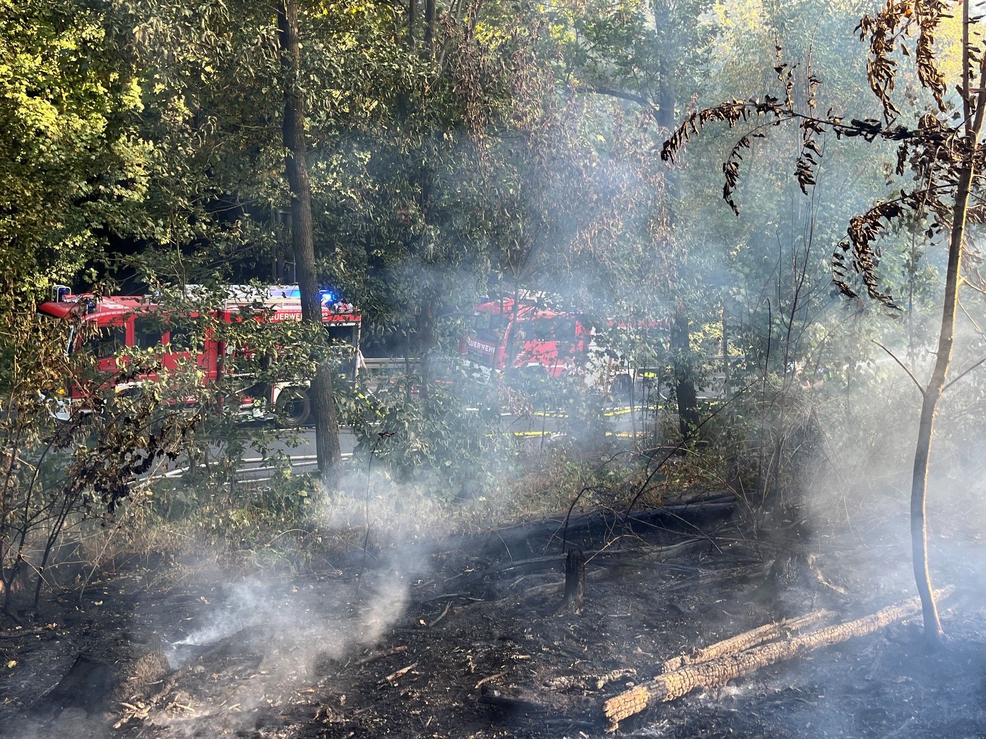Bei dem Feuer wurden rund zwei Hektar Wald vernichtet. Der Wind erschwerte die Arbeiten.