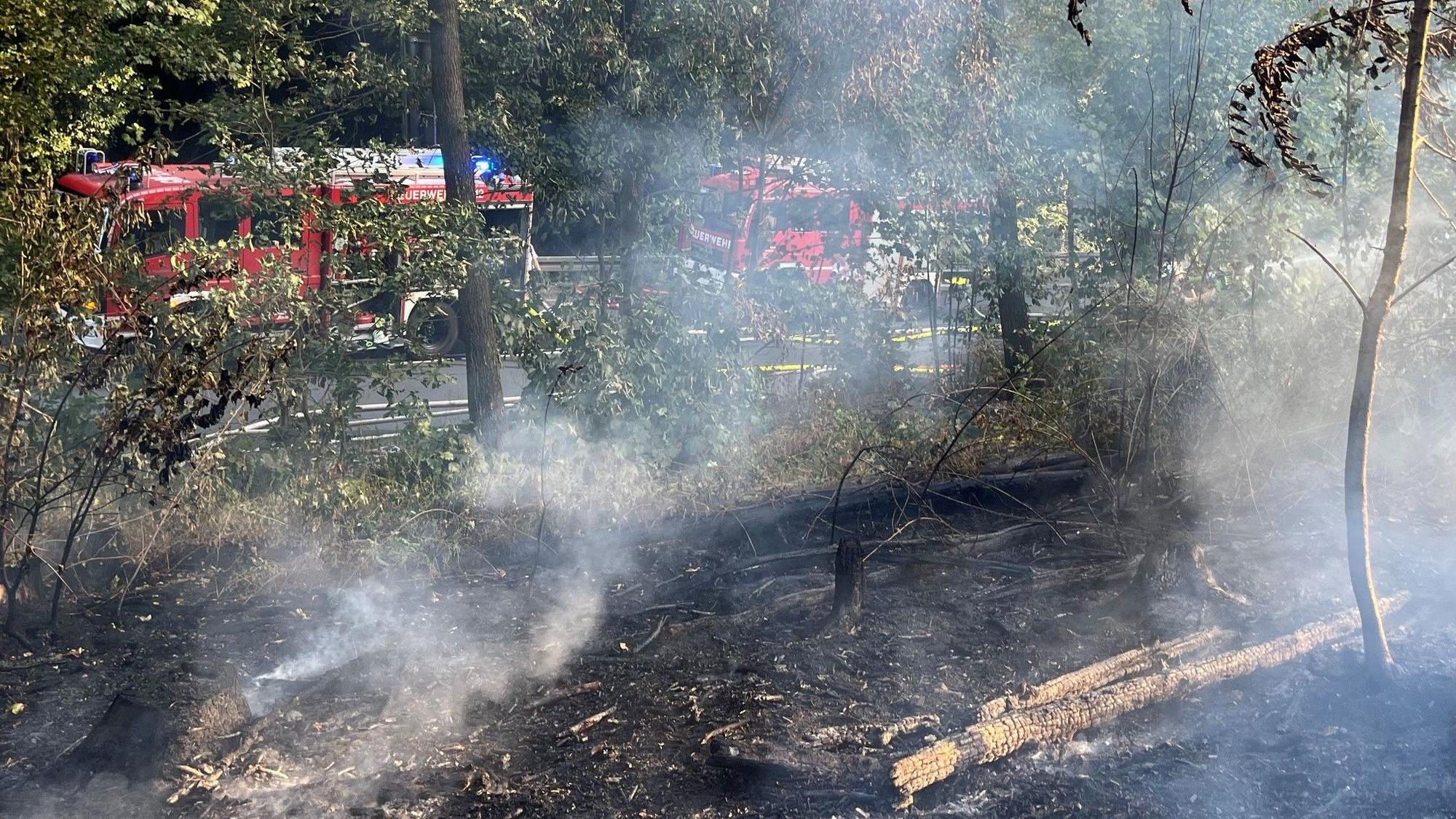 Bei dem Feuer wurden rund zwei Hektar Wald vernichtet. Der Wind erschwerte die Arbeiten.