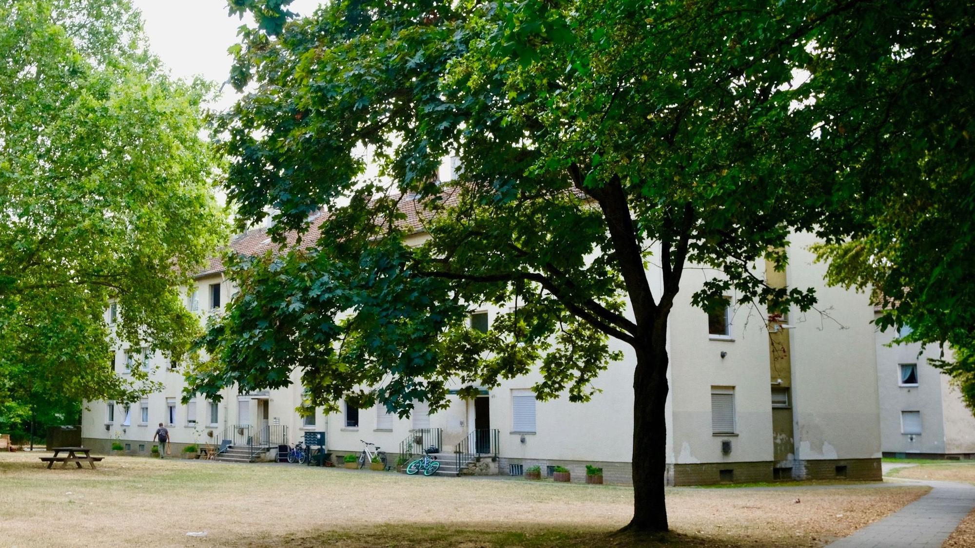 Einige Fenster und Türen der Sozialhäuser an der Geisbergstraße sind geöffnet.