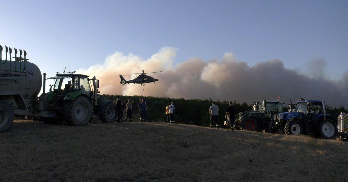 Großer Waldbrand im Kreis Düren: Erster Ortsteil wird evakuiert