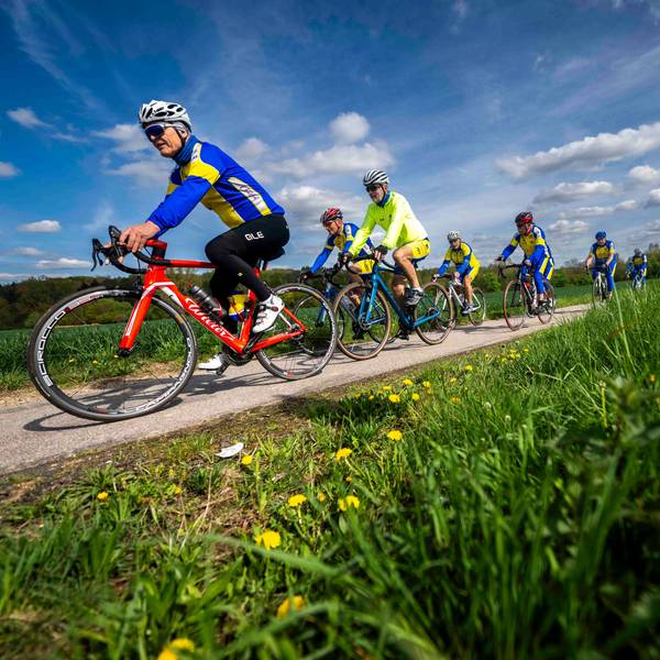 Zahlreiche Fahrradfahrer fahren neben einer Wiese, auf der Blumen blühen.