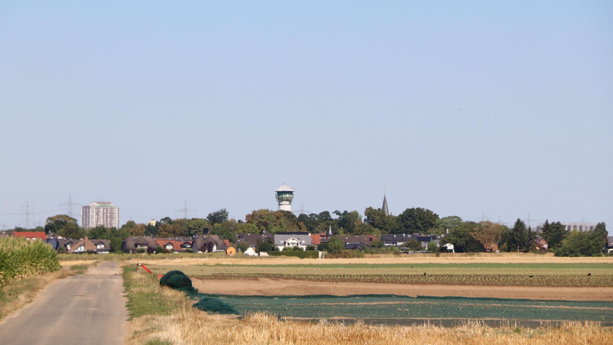 Zu sehen ist ein Feld, dahinter Bebauung.