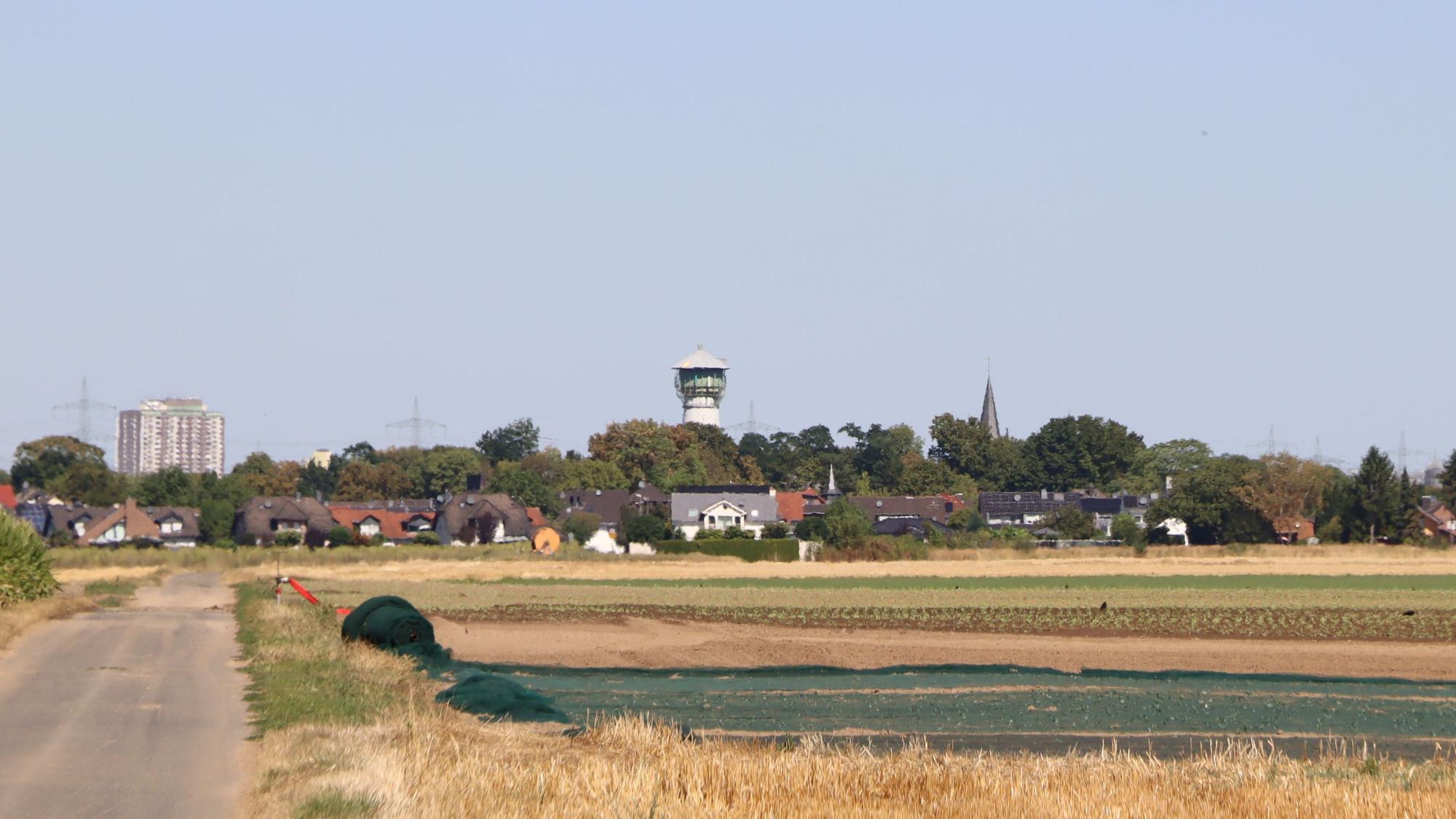 Zu sehen ist ein Feld, dahinter Bebauung.