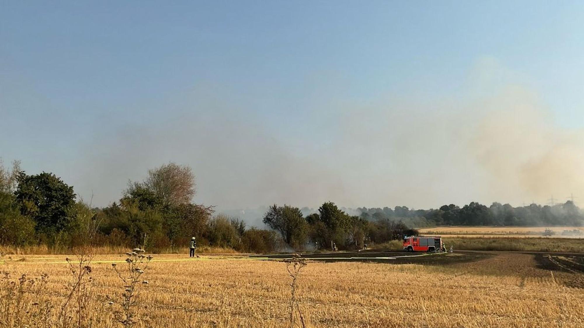 Ein von der Feuerwehr gelöschtes Feld in Bonn-Dransdorf.