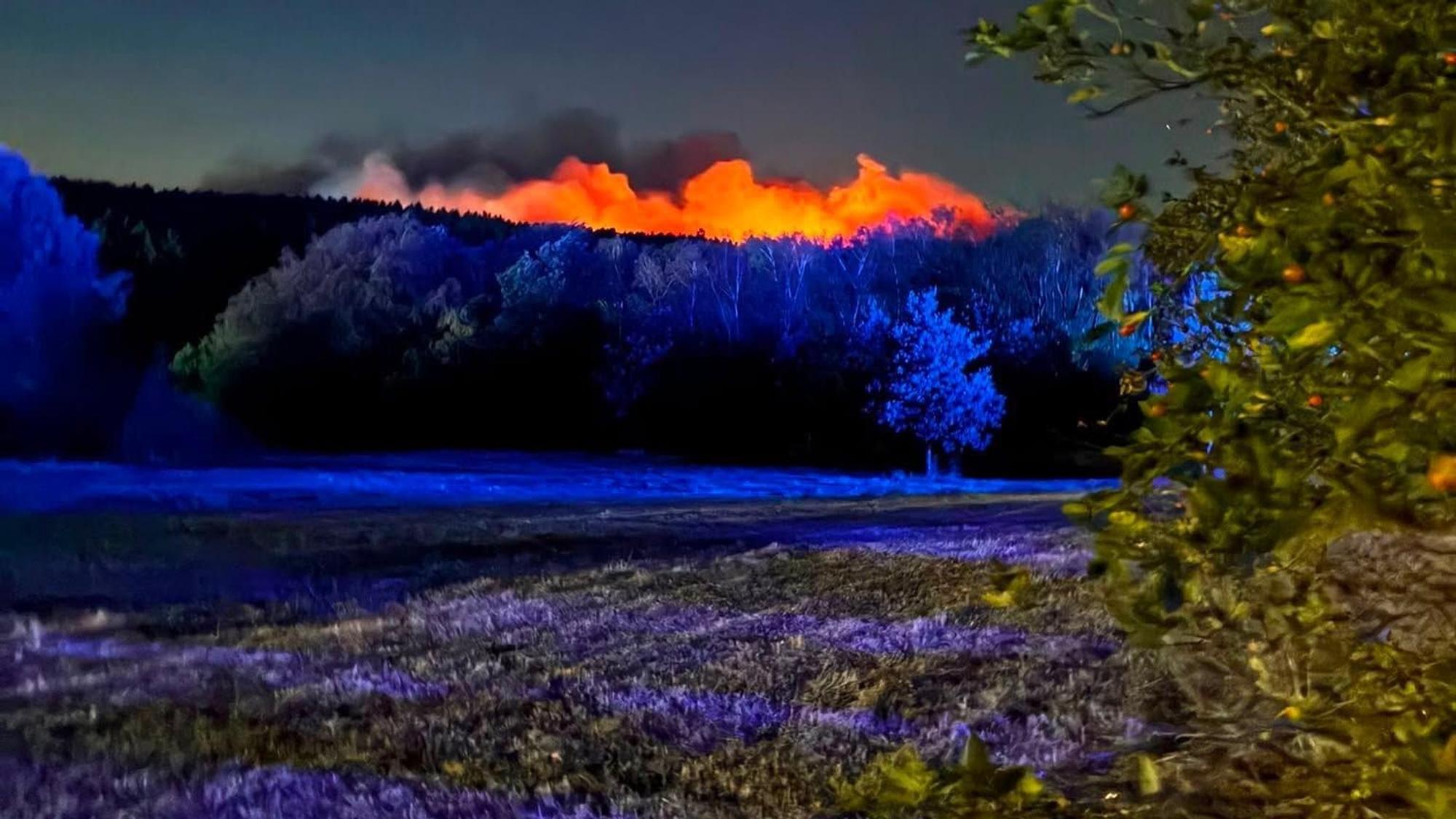 Auf dem Foto der Feuerwehr Erftstadt ist das Ausmaß der Brände in Hürtgenwald zu erkennen.
