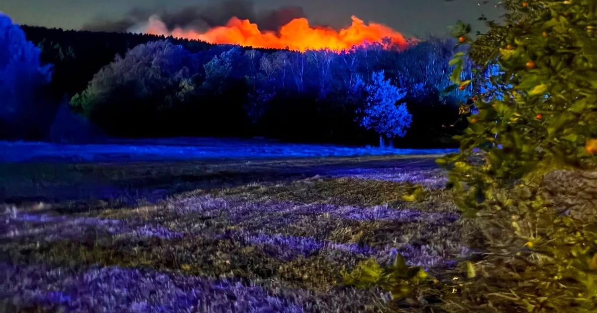 Grothus fordert Tempolimit: Grüne aus Kerpen sieht Waldbrände als ...