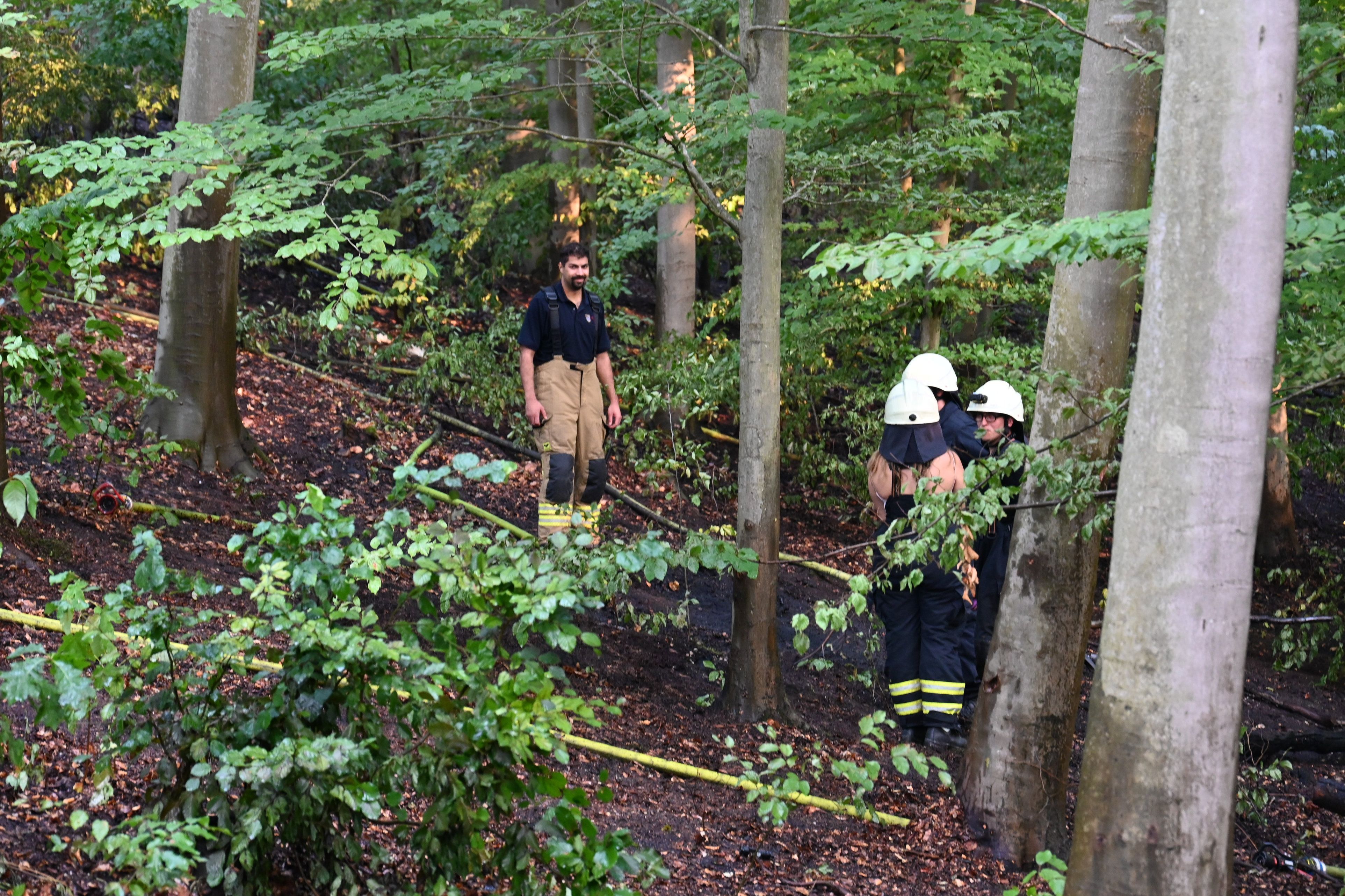 Das Bild zeigt Einsatzkräfte der Feuerwehr Brühl im Wald.