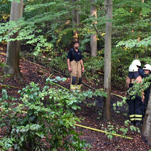Das Bild zeigt Einsatzkräfte der Feuerwehr Brühl im Wald.