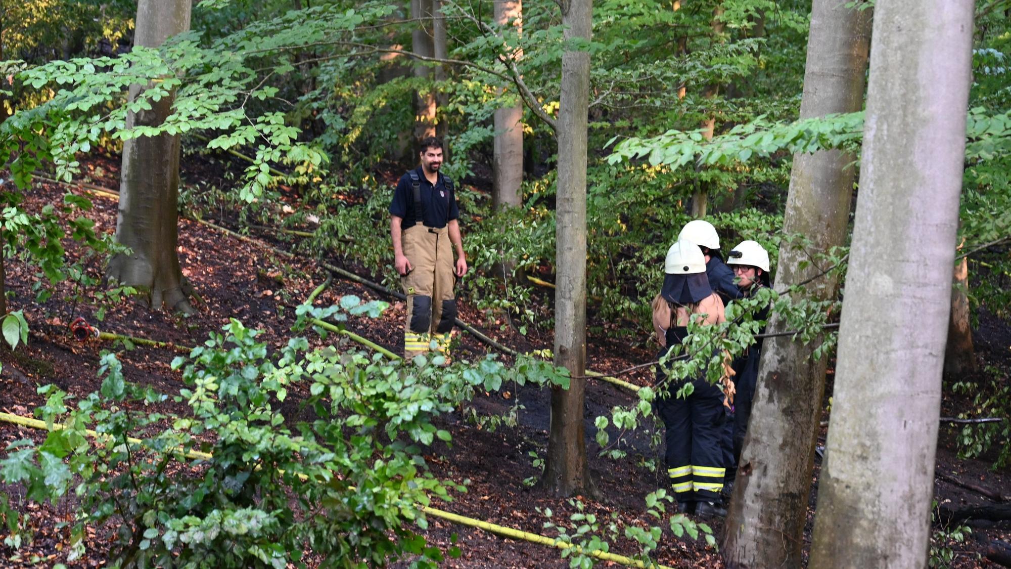 Das Bild zeigt Einsatzkräfte der Feuerwehr Brühl im Wald.