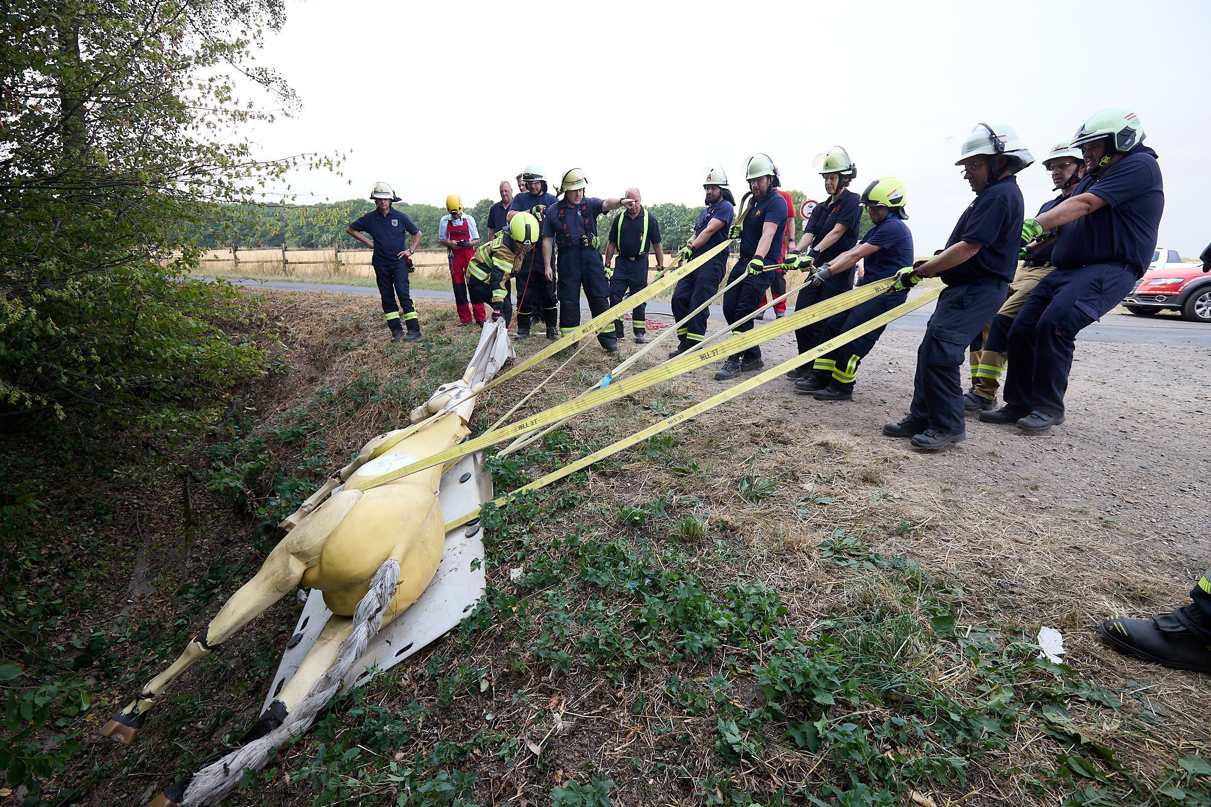 Feuerwehrleute ziehen den Pferdedummy aus einem Graben.