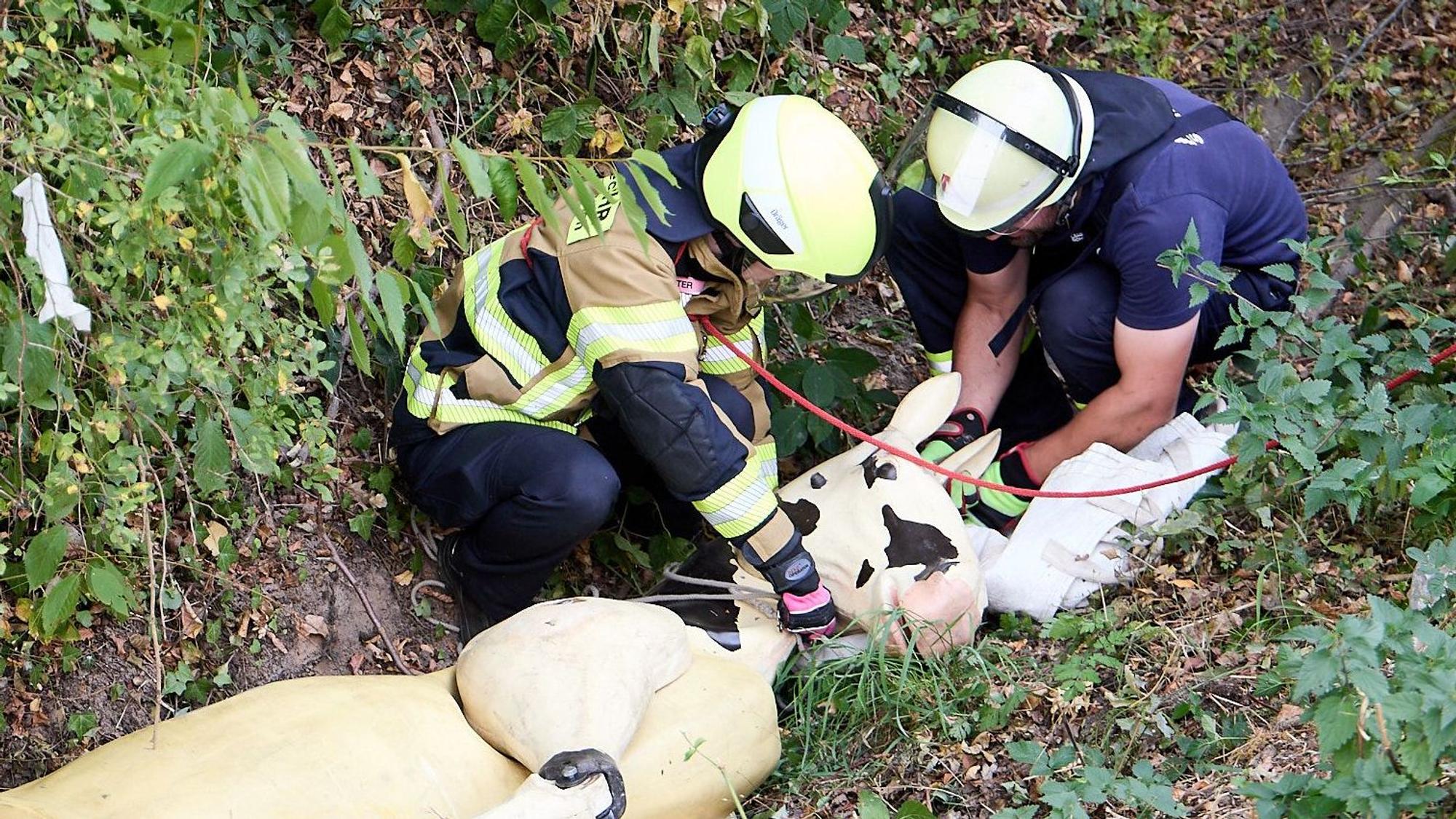 Zwei Feuerwehrleute kümmern sich um den Schutz des Pferdekopfes.