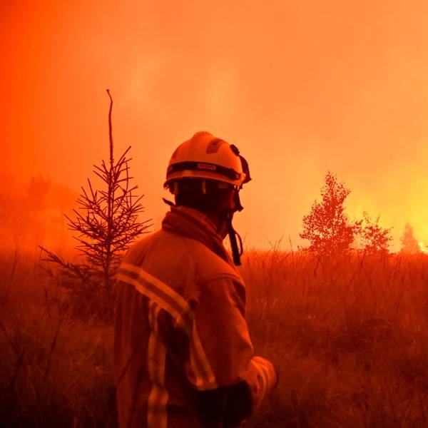 Das von VHP zur Verfügung gestellte Foto zeigt Feuerwehrleute im Einsatz beim Großbrand im Naturschutzgebiet Hohes Venn (Hautes Fagnes).