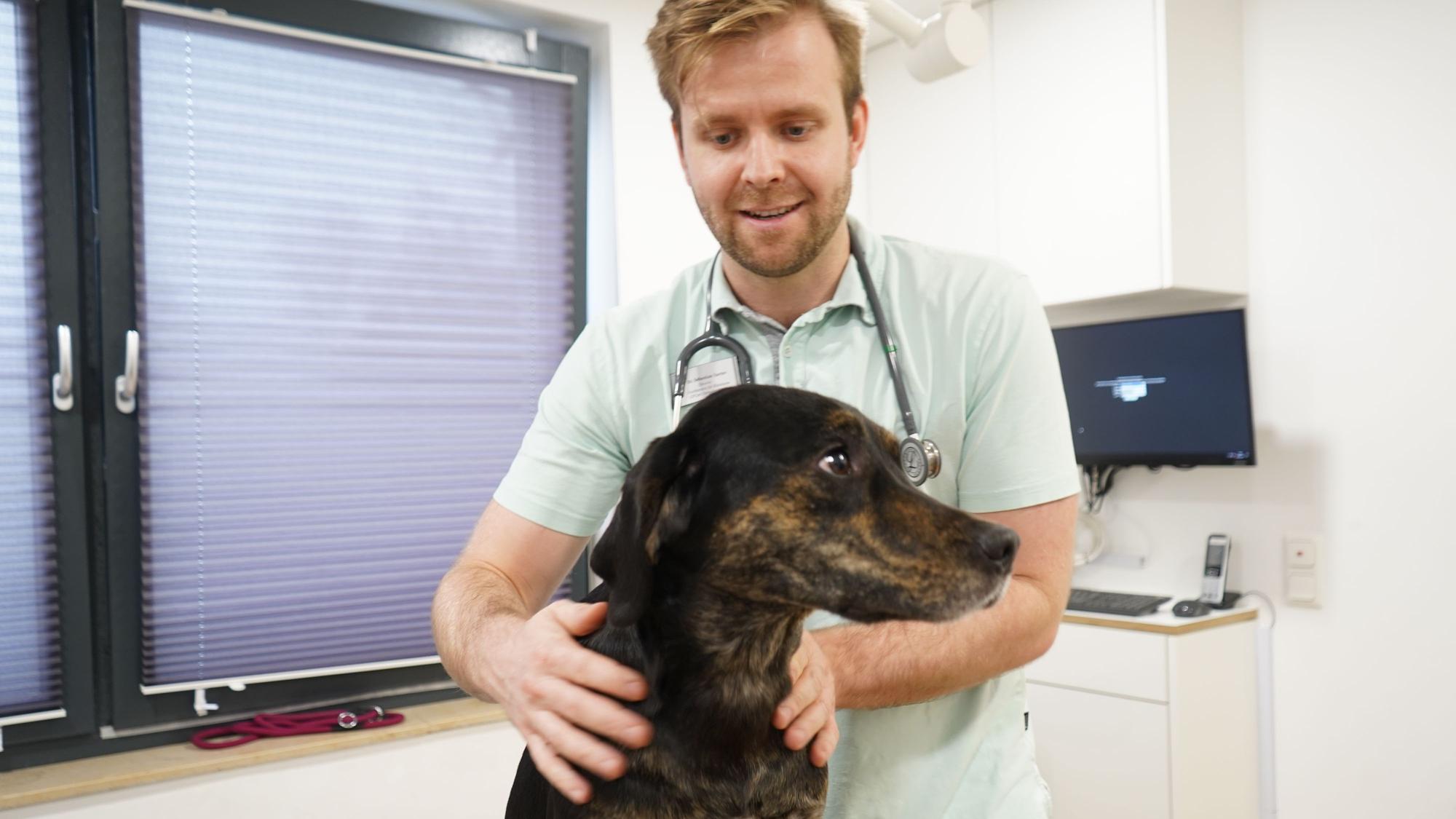 Das Bild zeigt einen Tierarzt mit Hund.