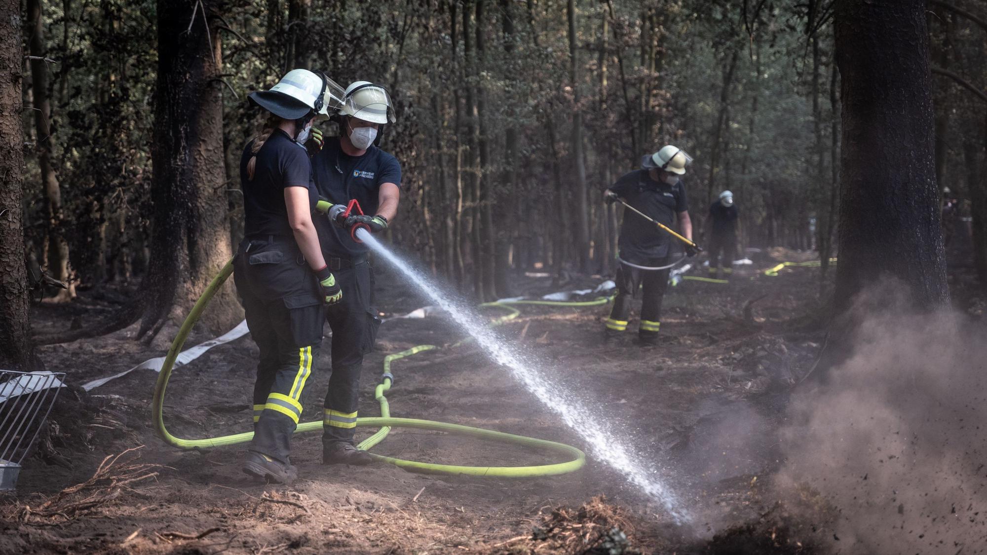 Feuerwehrmänner sind bei Nachlöscharbeiten in einem Waldstück im Hürtgenwald im Einsatz.