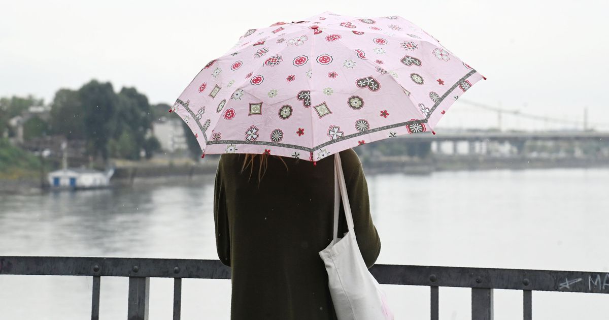 Nach historischer Dürre in Köln: Kennen Sie noch Regen?