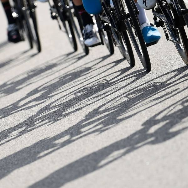 Auf dem Bild sind Radfahrer und ihre Schatten zu sehen. (Symbolbild)